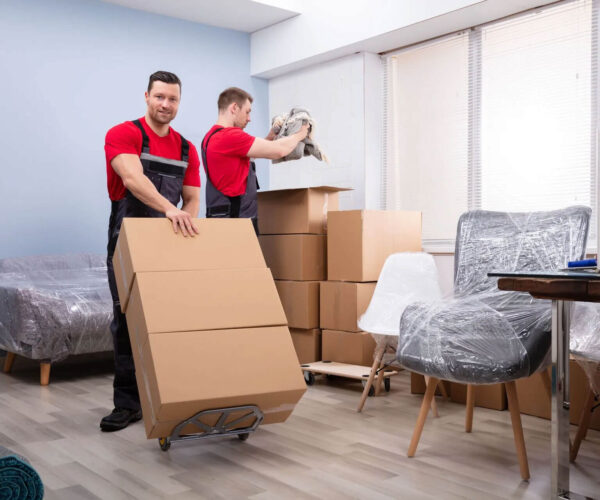 Local Shifting in Raipur