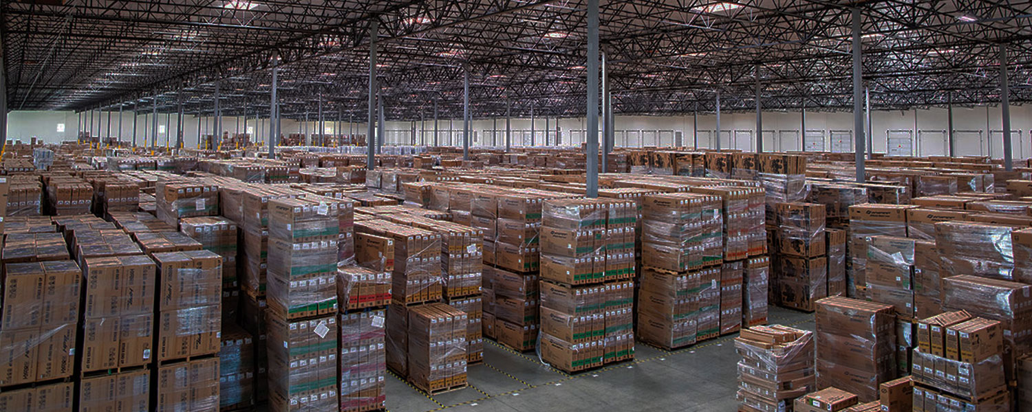 Domestic shifting service Raipur