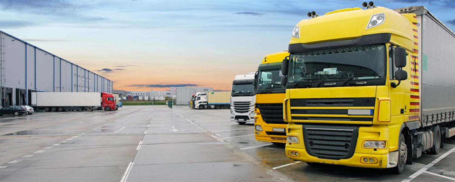 Car transportation service Raipur